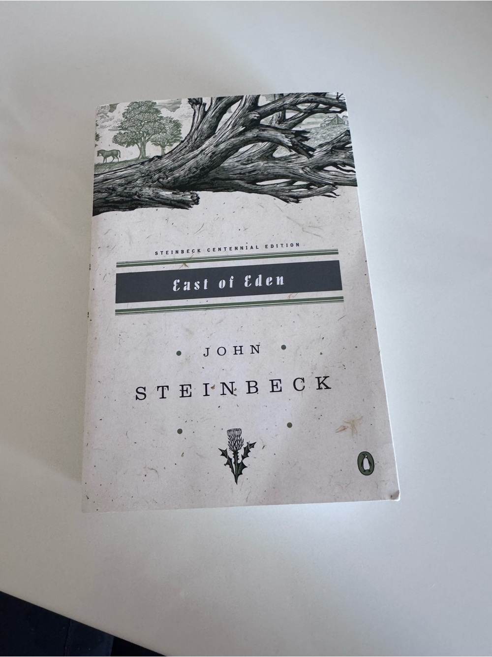 “East of Eden” by John Steinbeck paperback